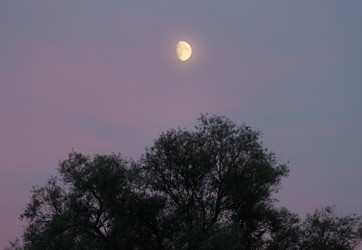 Similar image 21823237