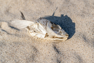 Similar image 21824080