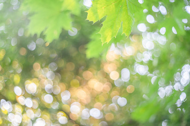 Similar image 21824083