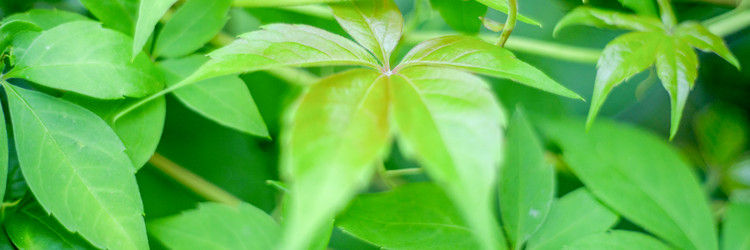 Similar image 21824084