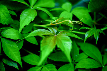 Similar image 21824085