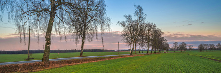 Similar image 21824092