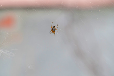 Similar image 21824095