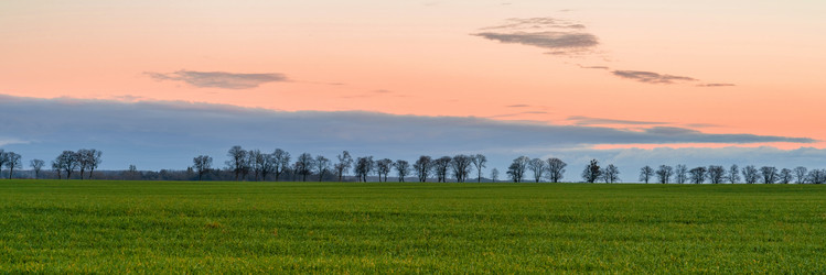 Similar image 21824096