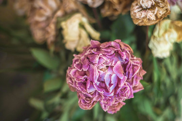 Similar image 21824229