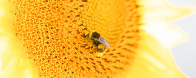 Similar image 21824230