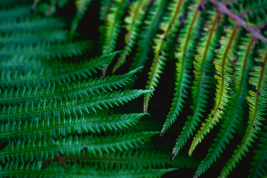 Similar image 21824233