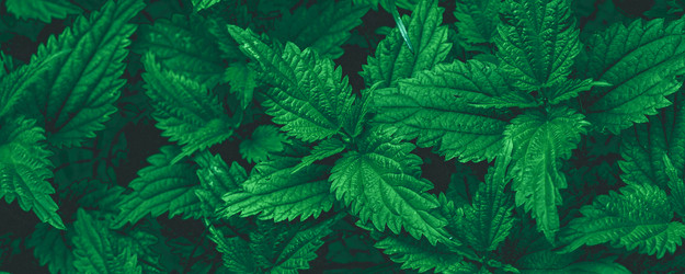 Similar image 21824234