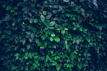 Similar image 21824235