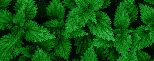 Similar image 21824236