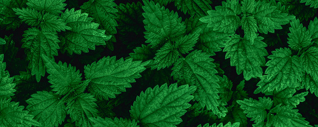 Similar image 21824237