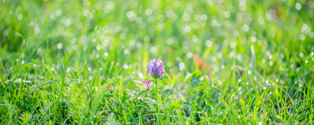 Similar image 21824238