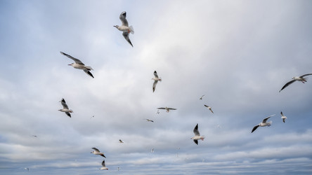 Similar image 21824239