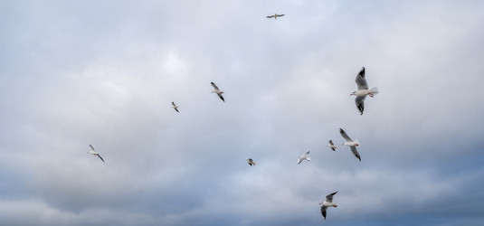 Similar image 21824240