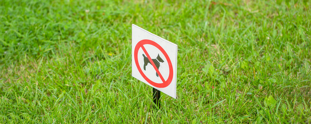 Similar image 21824241