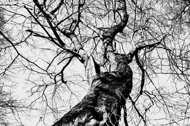 Similar image 21824245