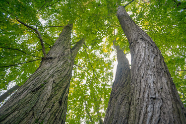 Similar image 21824246