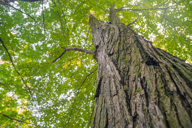 Similar image 21824247