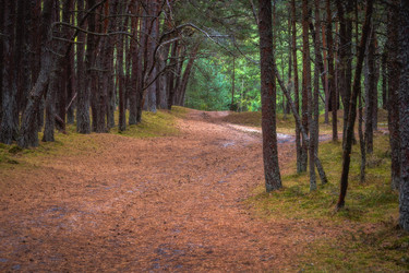 Similar image 21824249