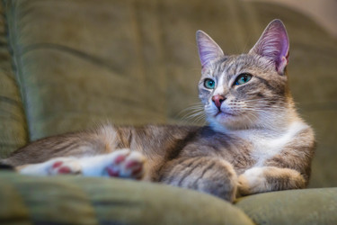 Similar image 21824250