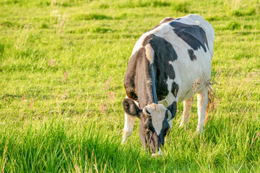 Similar image 21824251