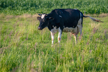 Similar image 21824252