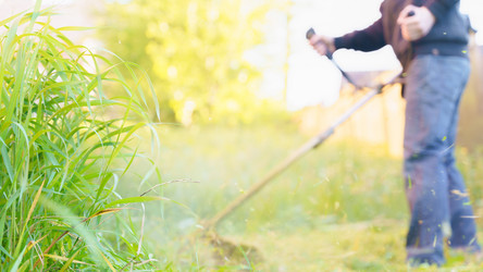 Similar image 21824264