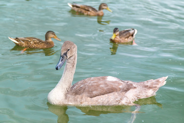 Similar image 21826198