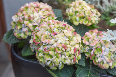 Similar image 21826199