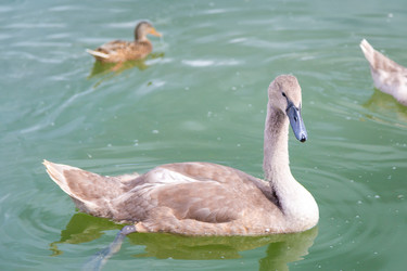 Similar image 21826201