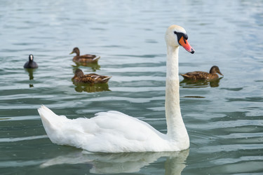 Similar image 21826203