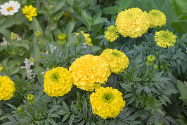 Similar image 21826204