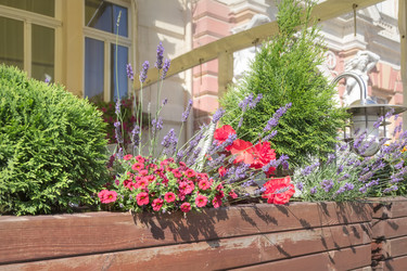 Similar image 21826205