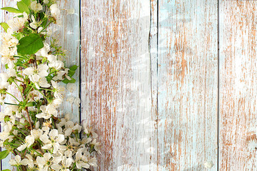 Similar image 21823000