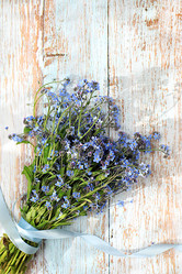 Similar image 21823002