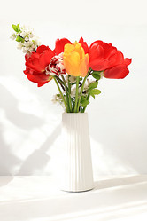 Similar image 21823003