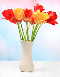 Similar image 21823004