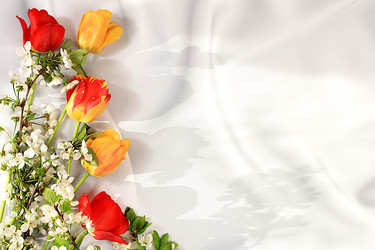 Similar image 21823007