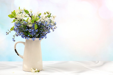 Similar image 21823008