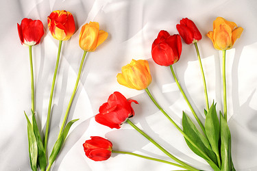 Similar image 21823009