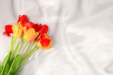 Similar image 21823010