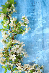 Similar image 21823012