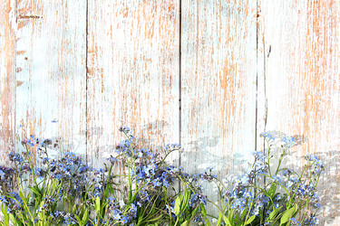 Similar image 21823013