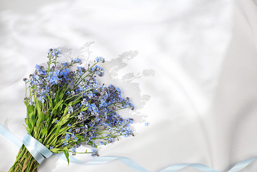 Similar image 21823016