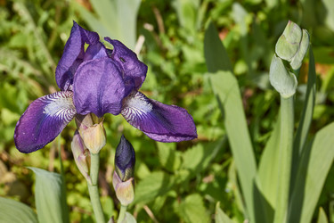 Similar image 21823238