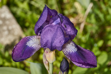 Similar image 21825495