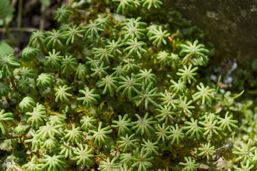 Similar image 21825496