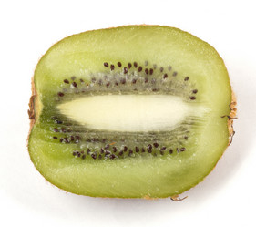 Similar image 21823242