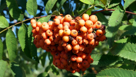 Similar image 21823244