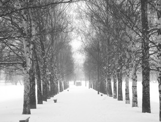 Similar image 21823247